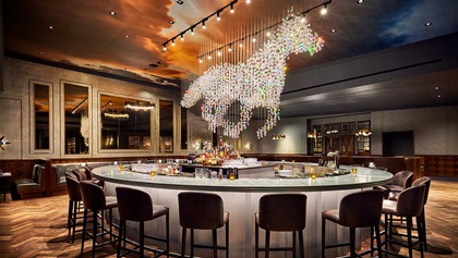 Trick Rider Bar